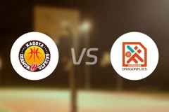 名古屋钻石海豚vs广岛蜻蜓比分预测【2025/11/01】