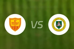 马尼拉挖掘者vs菲律宾陆军比分预测【2026/02/14】