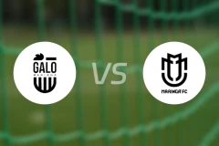 加洛马林加vs马林加比分预测【2026/01/21】