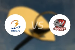 合肥狂风峻茂vs广西威壮录像回放【2025/08/01】