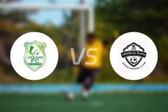 加纳梦想FCvs斯韦德鲁全黑比分预测【2025/11/23】