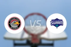 科利奇帕克天鹰vs格林斯伯勒蜂群比分预测【2026/03/28】