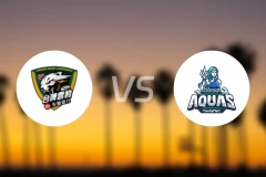 台啤永丰云豹vs高雄海神比分预测【2025/11/19】