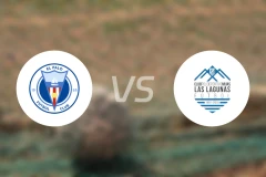 帕罗vs拉斯拉古纳斯比分预测【2026/02/08】