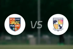 长野帕塞罗vs宫崎棒牛鸟比分预测【2025/11/15】