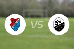 TSV施泰因巴赫vs桑德豪森比分预测【2026/04/11】