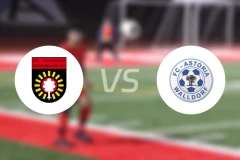 格罗巴斯帕奇vs瓦尔多夫比分预测【2025/11/29】