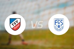TSV沙塞尔vsFC祖德比分预测【2024/08/11】