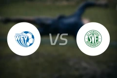 维尔茨堡FVvs幸运雷根斯堡比分预测【2026/03/28】