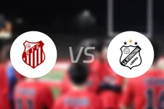 赦陶宁欧vs国际里梅拉比分预测【2026/03/01】