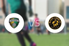 尼科联vs黑狮FC比分预测【2026/02/28】