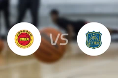 上海vs浙江比分结果战报【2025/11/10】