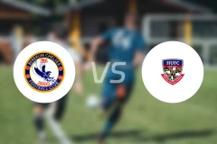 贝切vs浩霍联合比分预测【2025/12/14】