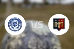 DB加雷利联vs达沃鹰比分预测【2026/02/22】