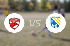 布加勒斯特迪纳摩B队vsFC阿格里科比分预测【2025/11/29】