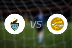 坎昆vs黄金河虎比分预测【2026/01/11】