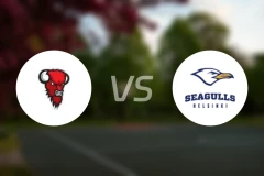 野牛vs赫尔辛基海鸥比分预测【2025/11/05】