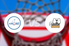 卡高罗斯梅赫伦vs鲁汶熊比分预测【2025/11/16】