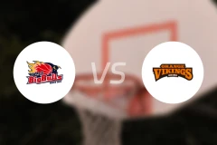 岩手大公牛vs爱媛维京人比分预测【2025/12/13】