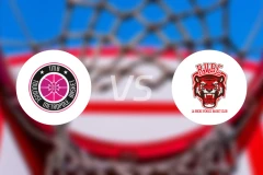 图卢兹女篮vs罗切文德女篮比分预测【2026/04/05】