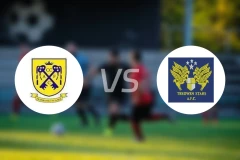 施白兰凯尔特人vs特奥温星队比分预测【2026/01/03】