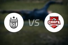 普雷斯帕vs斯洛加维尼察比分预测【2025/11/25】