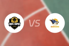 特里弗索波特vs罗斯托克比分预测【2026/01/21】