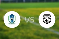 布朗卡蛇vs特利兹比分预测【2026/01/19】