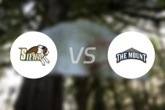 锡耶纳学院vs圣玛丽山大学比分预测【2026/01/12】