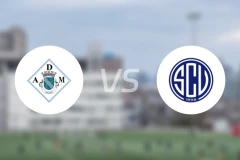 马希高vs凡恩尼斯比分预测【2026/02/22】