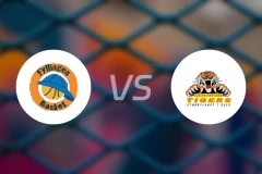 费林根vs辛卓老虎比分预测【2025/12/14】