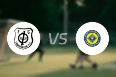 FC埃德斯海姆vs亨默特罗斯比分预测【2025/10/19】