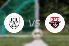 亚眠vs甘冈比分预测【2025/11/22】