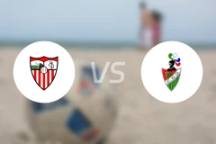 塞莱阿vs戈阿尼佐比分预测【2026/01/25】