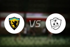 帕尔努瓦普鲁斯vs威克伊勒特比分预测【2026/03/11】