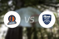 拉科鲁尼亚vs菲布维帕尔马比分预测【2026/01/17】