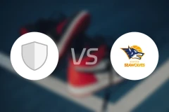 法尔科vs罗斯托克比分预测【2025/12/18】