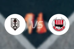 岩手盛冈仙鹤vs大分红温泉比分预测【2025/10/26】