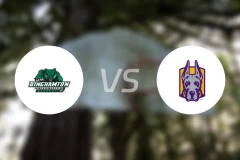 宾汉顿大学vs纽州大阿尔巴尼分校比分预测【2026/01/16】