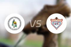 维米诺vs卡特斯比分预测【2025/11/23】