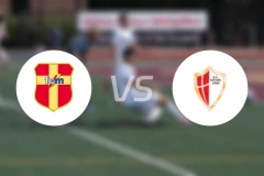 墨西拿vs萨沃亚比分预测【2025/11/23】