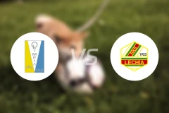 埃尔布隆格vs佐维耶茨基比分预测【2025/11/15】