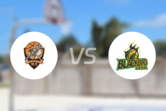 石家庄翔蓝vs上海玄鸟录像回放【2026/01/04】