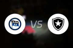 皮涅鲁斯vs博塔弗戈比分预测【2025/12/28】