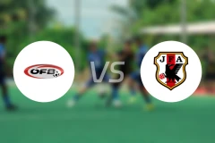 奥地利U17vs日本U17比分结果战报【2025/11/21】