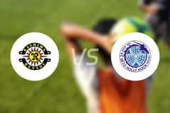 柏太阳神vs水户蜀葵比分预测【2026/03/22】