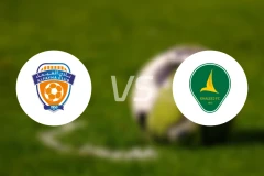 费哈vs塞哈特海湾比分结果战报【2026/01/29】