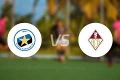 卡洛治vs贝林佐纳比分预测【2025/11/01】