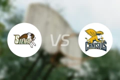 锡耶纳学院vs堪尼席斯比分预测【2026/02/02】