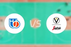 特雷维索vs博洛尼亚比分预测【2025/11/18】